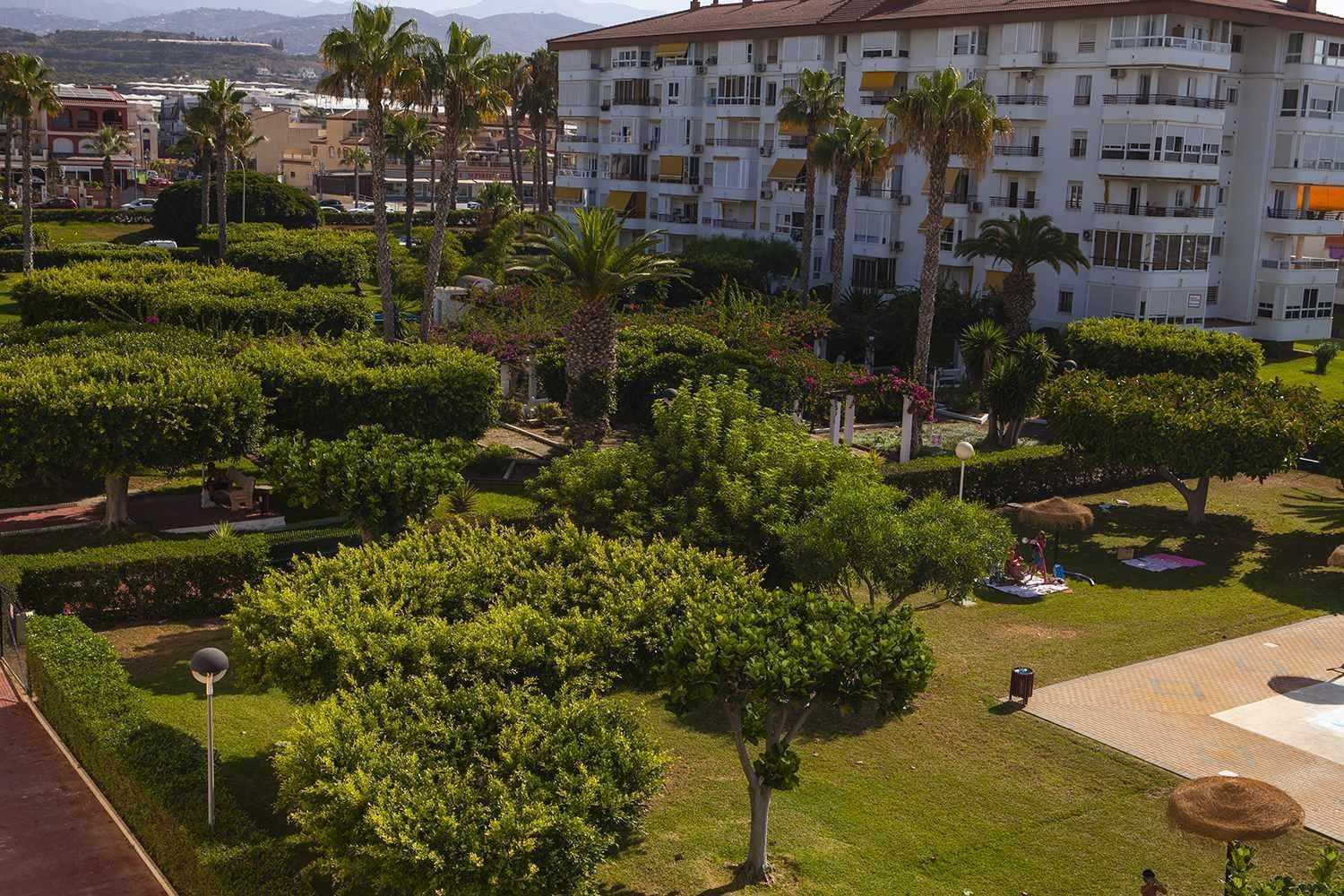 토록스 A 100M De Playa Piscina Y Todos Los Servicios 아파트 외부 사진