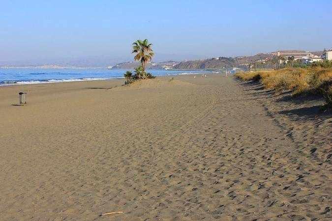 토록스 A 100M De Playa Piscina Y Todos Los Servicios 아파트 외부 사진